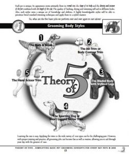 Theory of 5 by Melissa Verplank CMG